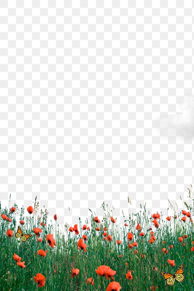 Flower field png border, red poppy transparent background