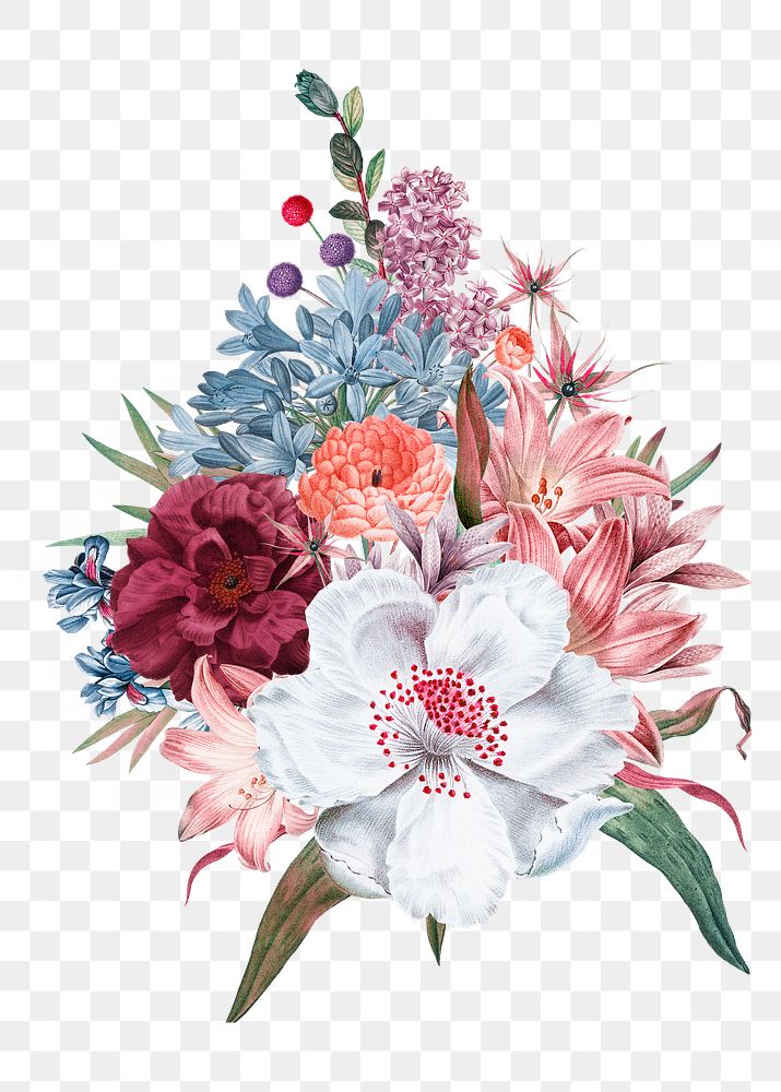 Flower bouquet png sticker,  botanical transparent background