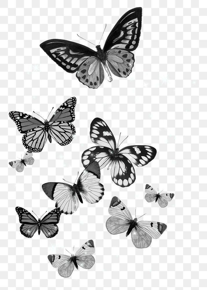 Grayscale butterflies png sticker, insect transparent background