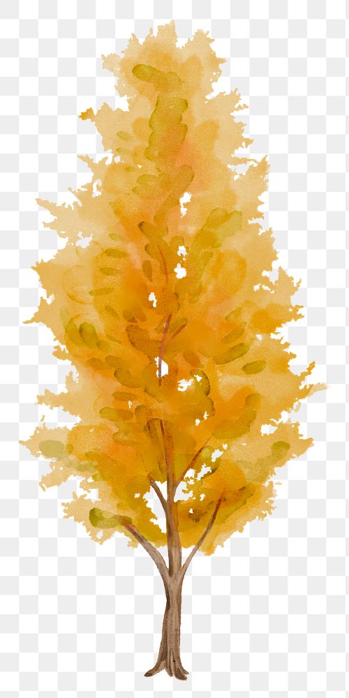 PNG autumn birch tree, watercolor plant collage element, transparent background