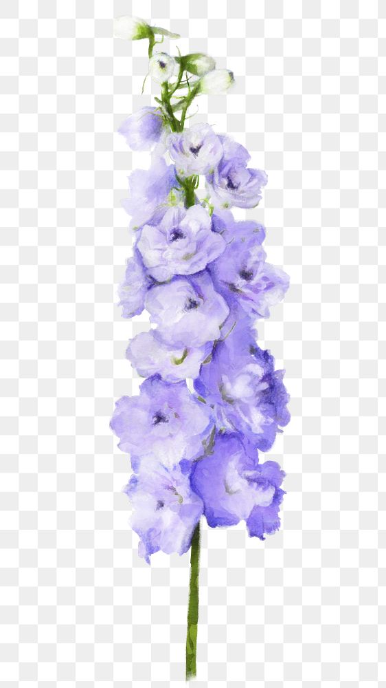 Purple delphinium png, watercolor flower collage element, transparent background