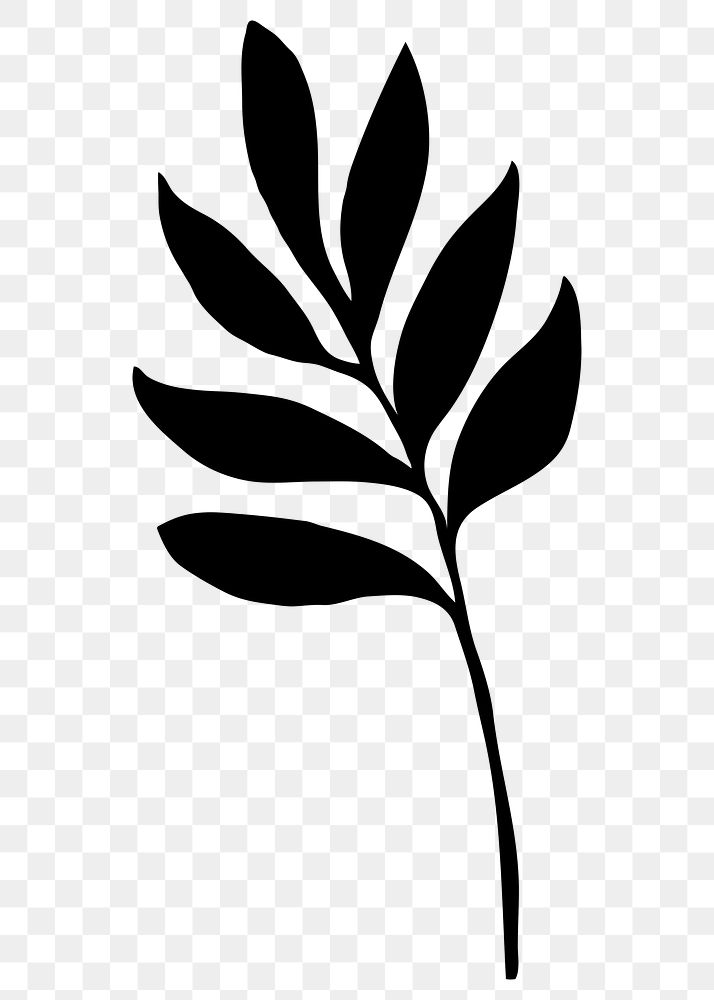 Silhouette leaf png, smilax branch, transparent background