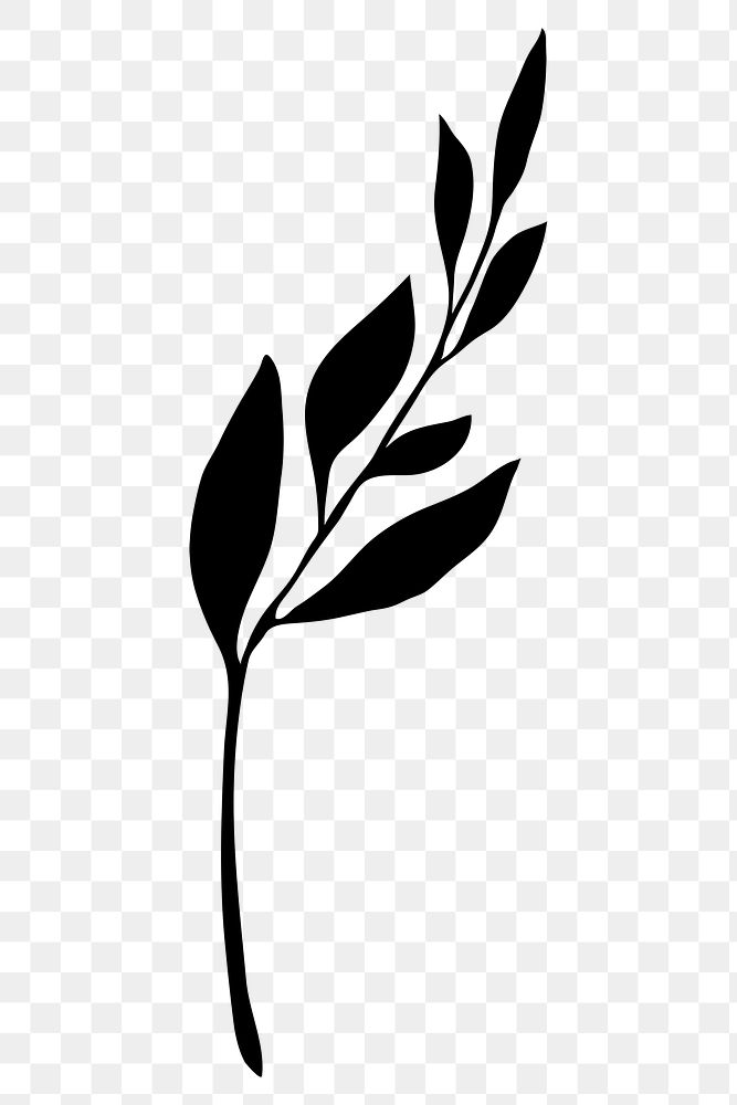 PNG silhouette leaf, olive branch clipart, transparent background