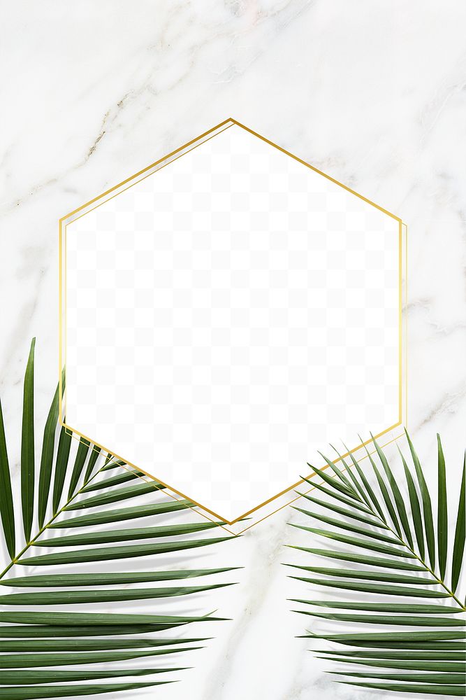 Palm leaves with a gold frame design element