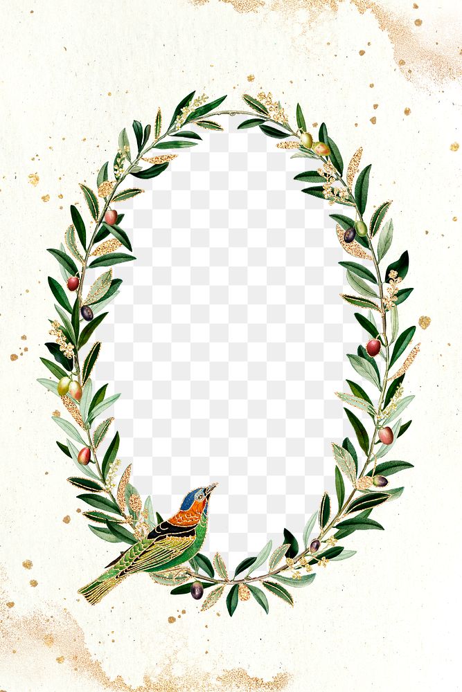Hummingbird pattern frame png olive branches copy space