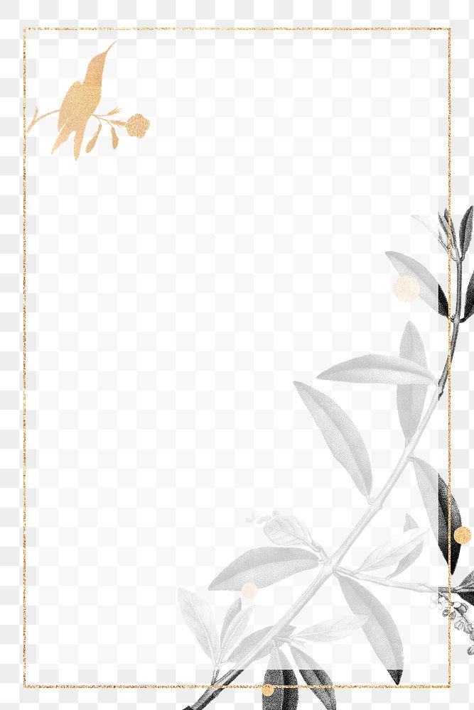Gold bird pattern frame png olive branches