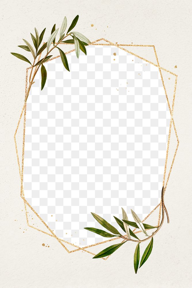 Botanical frame png olive branches pattern