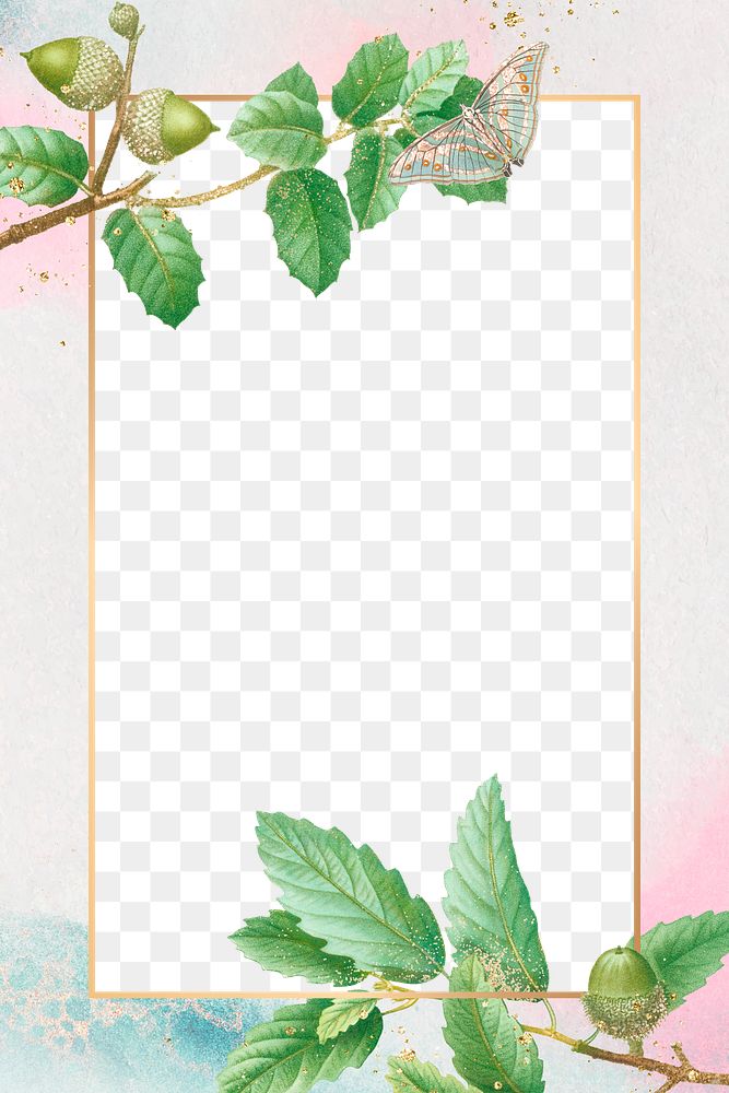 Frame png oak leaves pattern pastel gradient border