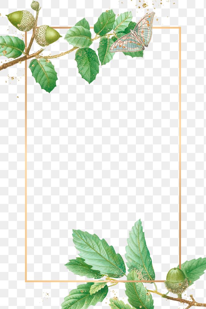 Green oak leaves frame png design space