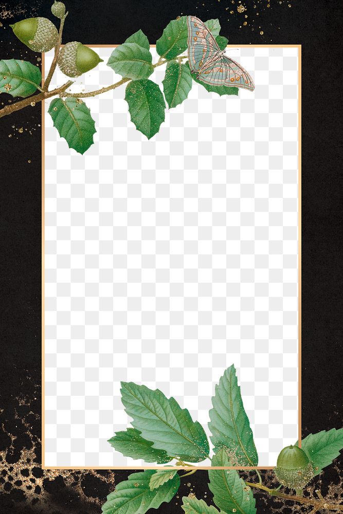 Botanical frame png oak leaf branches pattern border
