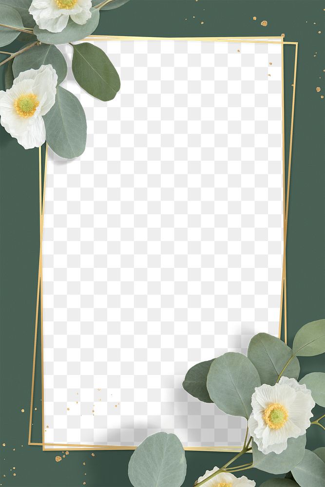 Golden rectangle Cherokee rose frame design element