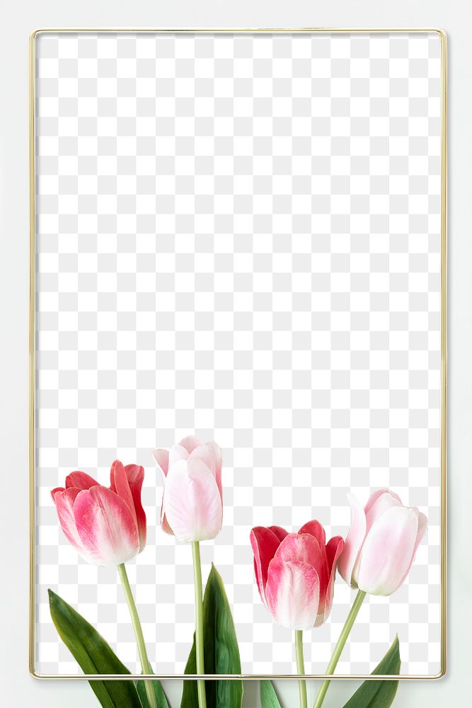 Golden blooming tulip frame design element
