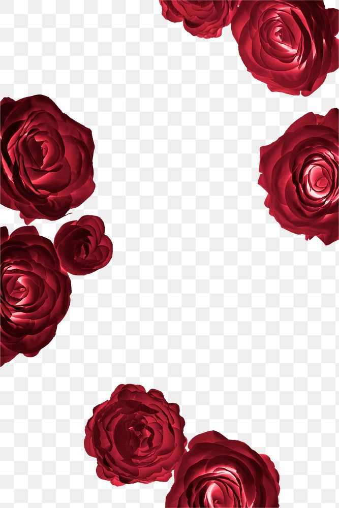 Red rose pattern transparent png