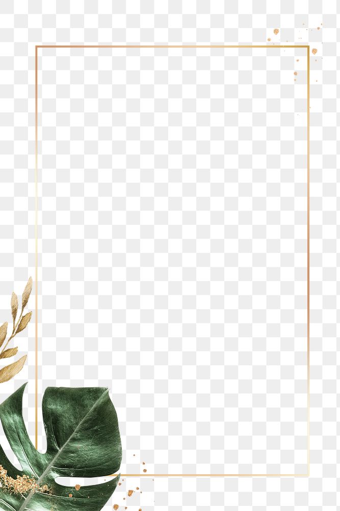 Leaf frame png with golden lining in minimal style