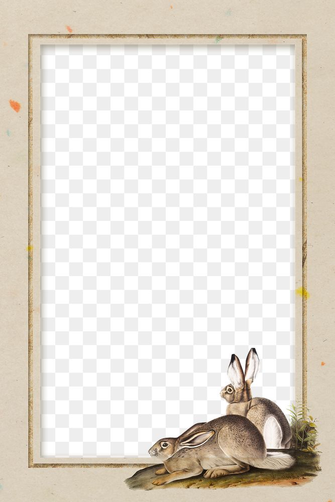 Vintage Easter bunny frame transparent png