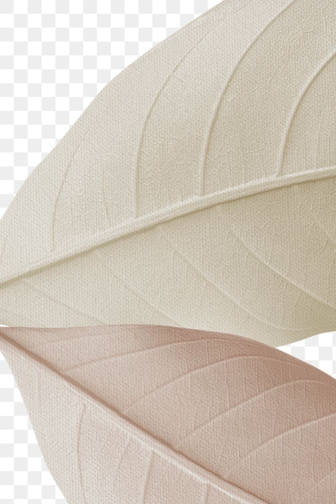 Closeup of beige leaves texture design element
