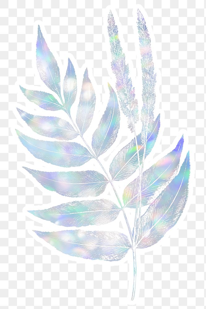 Holographic botanical fern leaves  design element