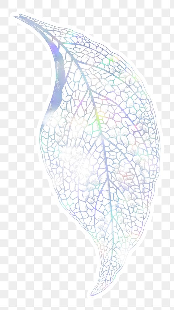 Holographic fittonia leaf sticker overlay design resource