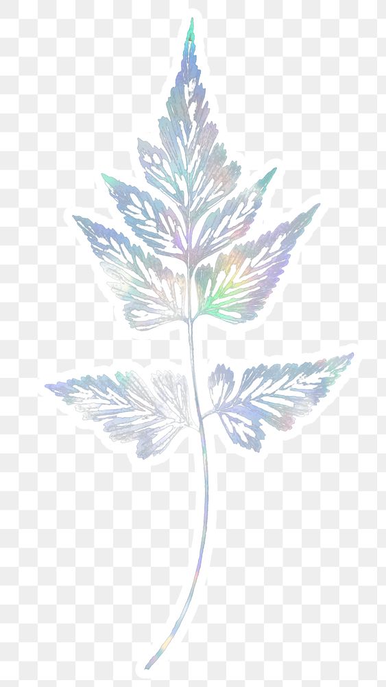 Holographic sickle spleenwort plant sticker overlay design element