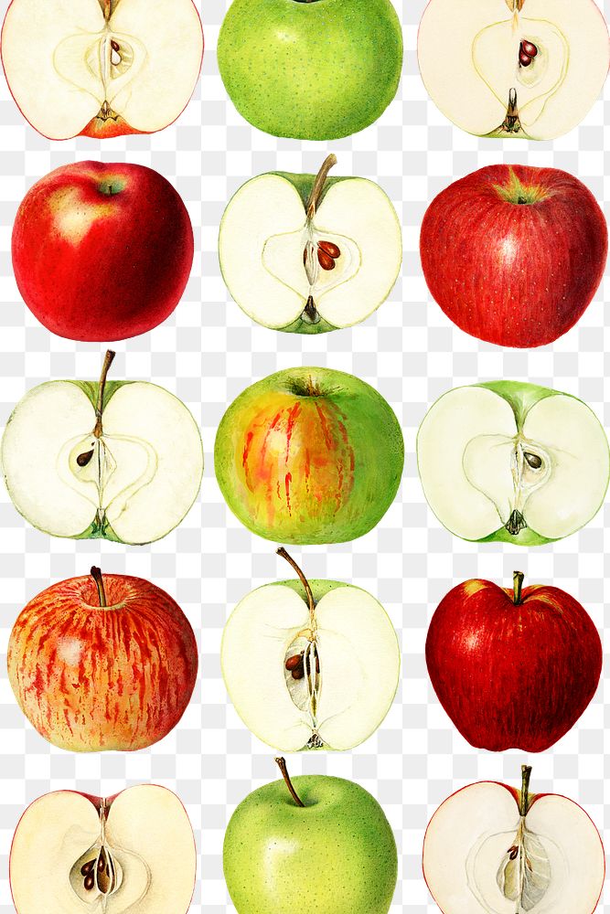 Hand drawn fresh apple patterned background