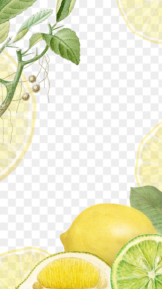 Hand drawn natural fresh lemon frame