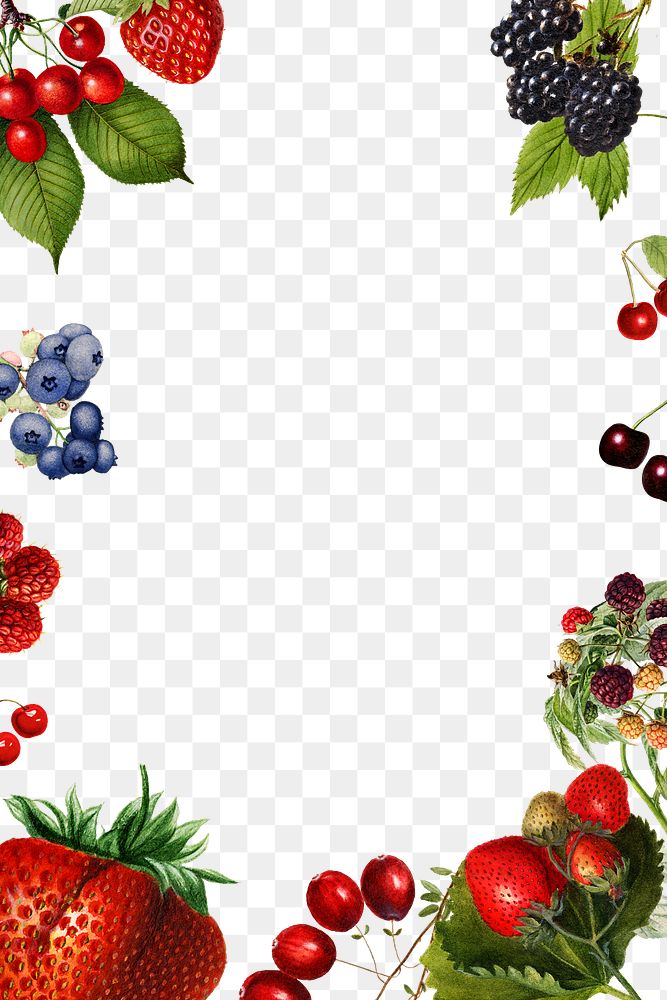 Hand drawn mixed berries frame design element
