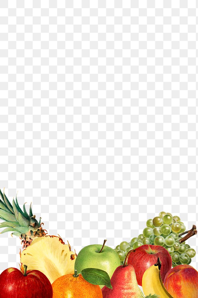Hand drawn mixed tropical fruits border design element