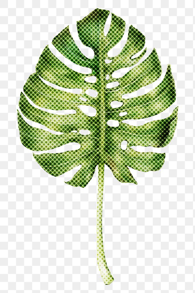 Green monstera leaf halftone style design element