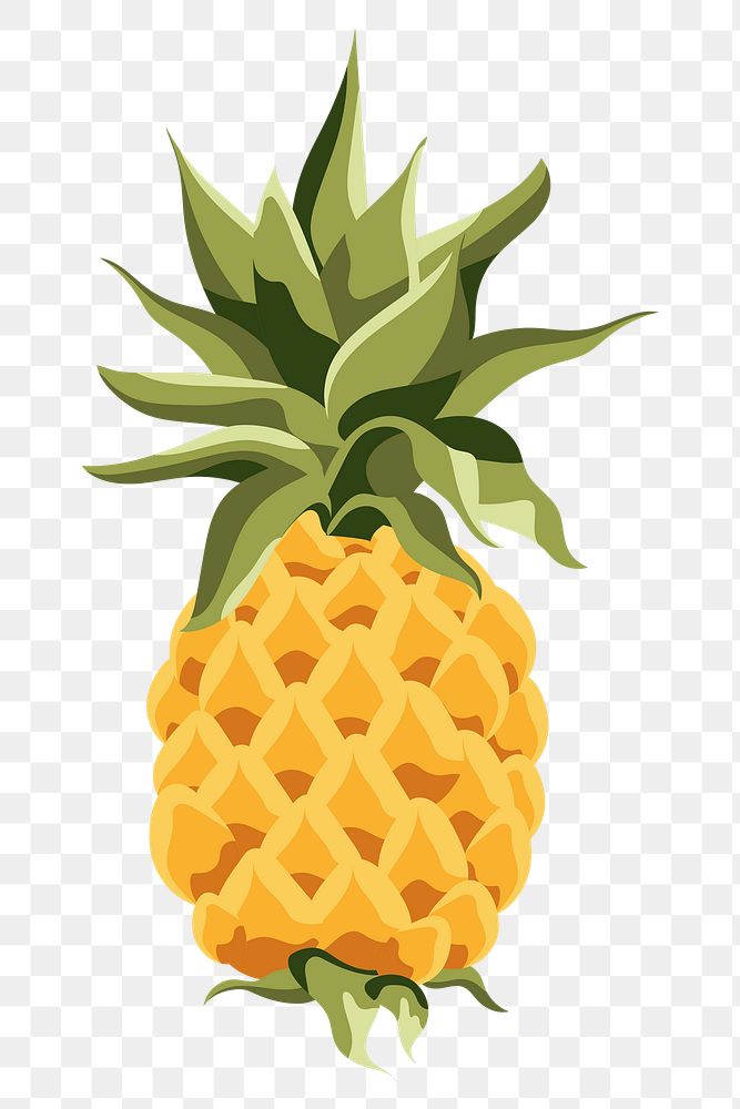 Yellow pineapple design element