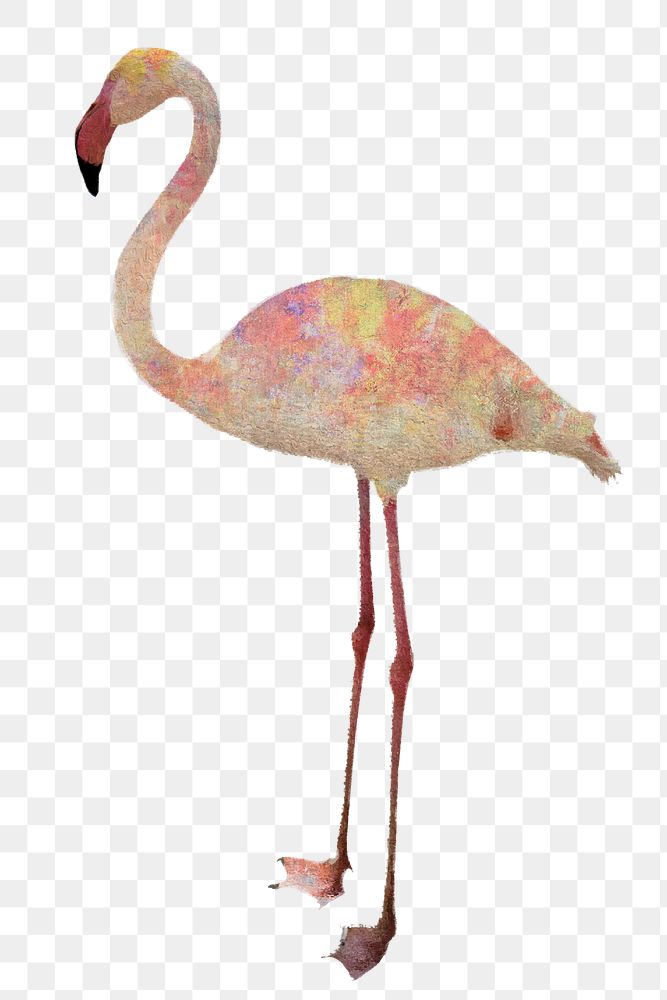 White flamingo bird design element