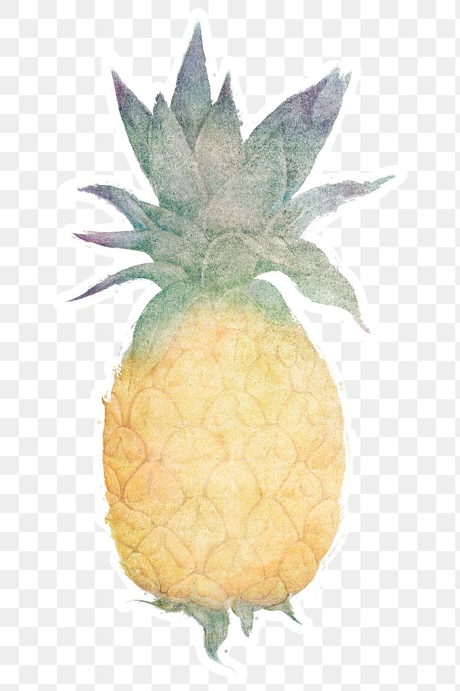 Yellow pineapple watercolor style sticker design element