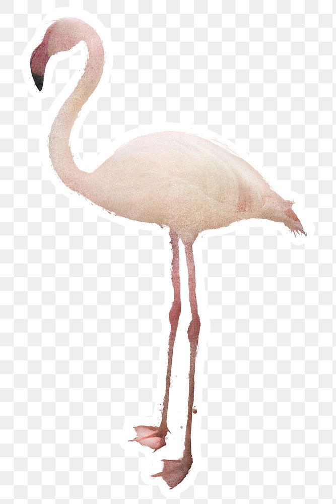 White flamingo bird sticker design element