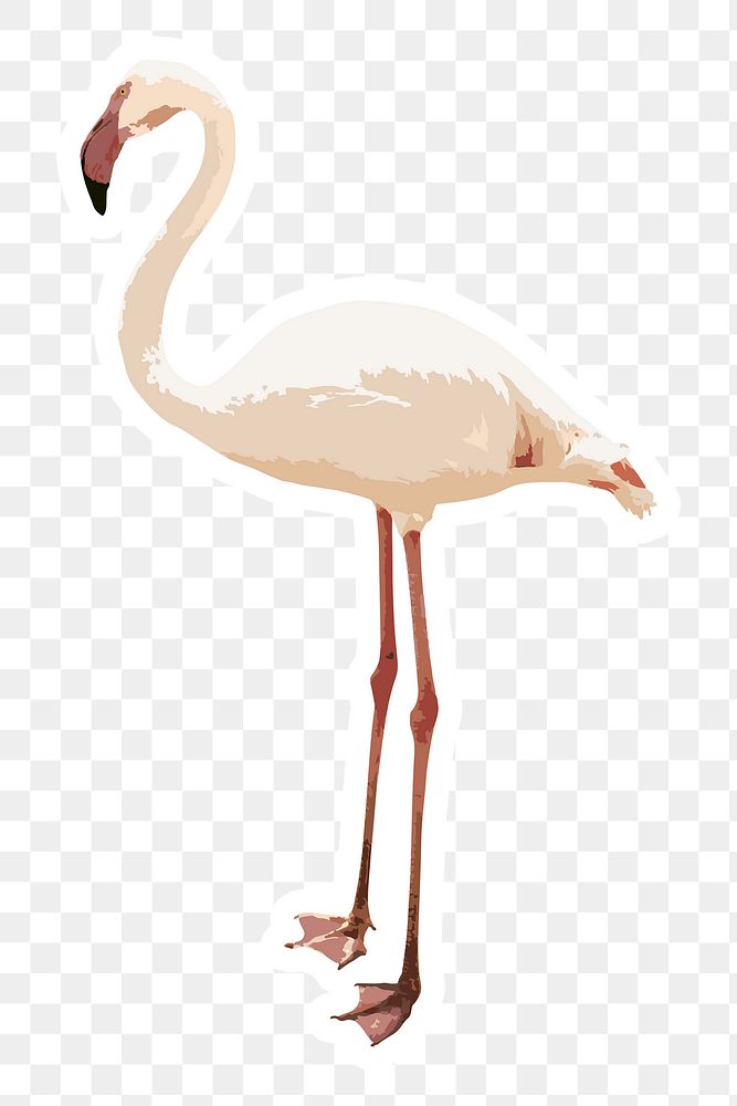 Vectorized white flamingo bird sticker with white border design element