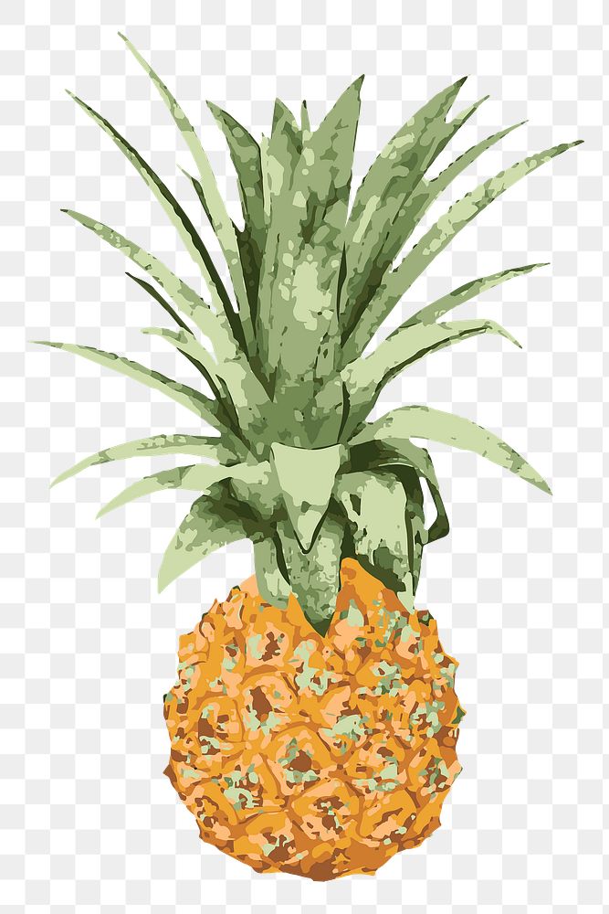 Vectorized pineapple design element