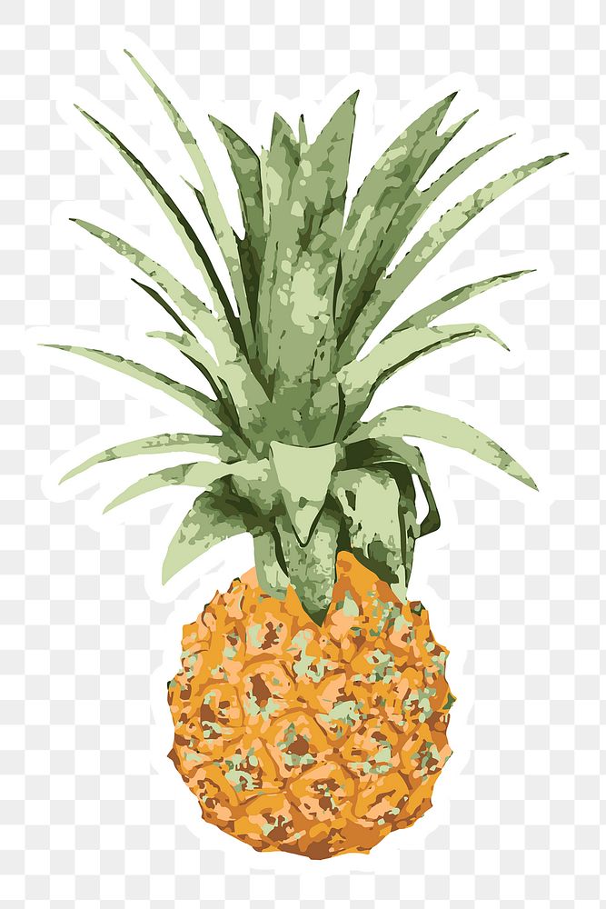 Vectorized pineapple sticker with white border