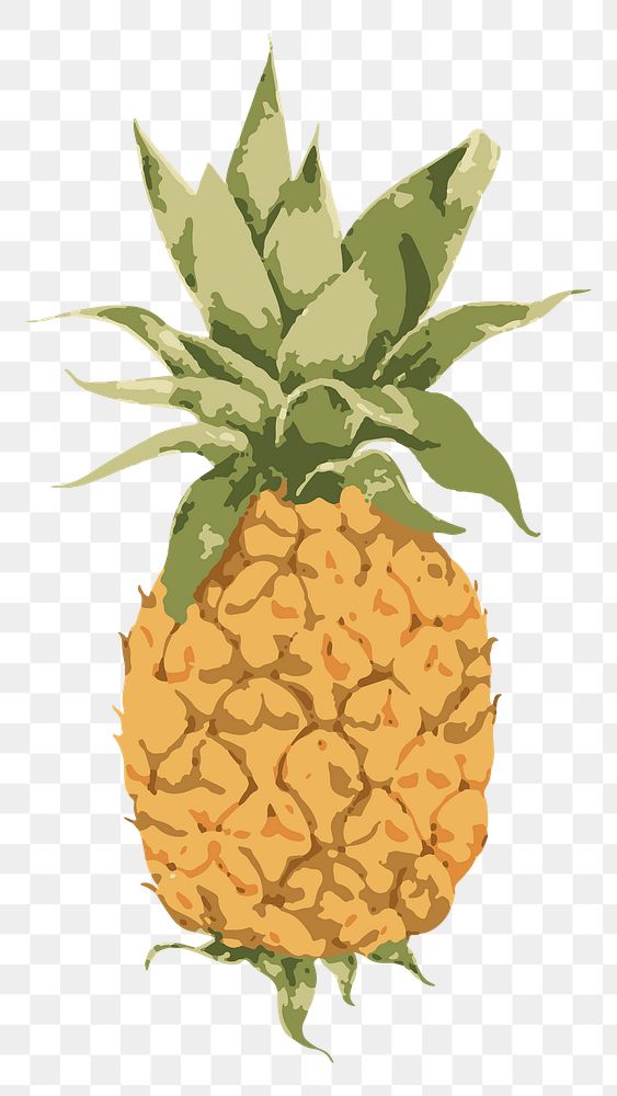 Vectorized pineapple design element