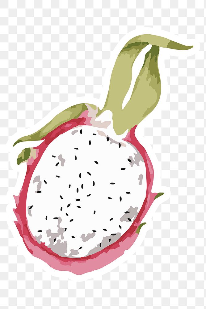 Vectorized half of a dragon fruit sticker with a white border