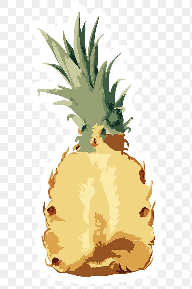 Vectorized pineapple sticker with white border design element