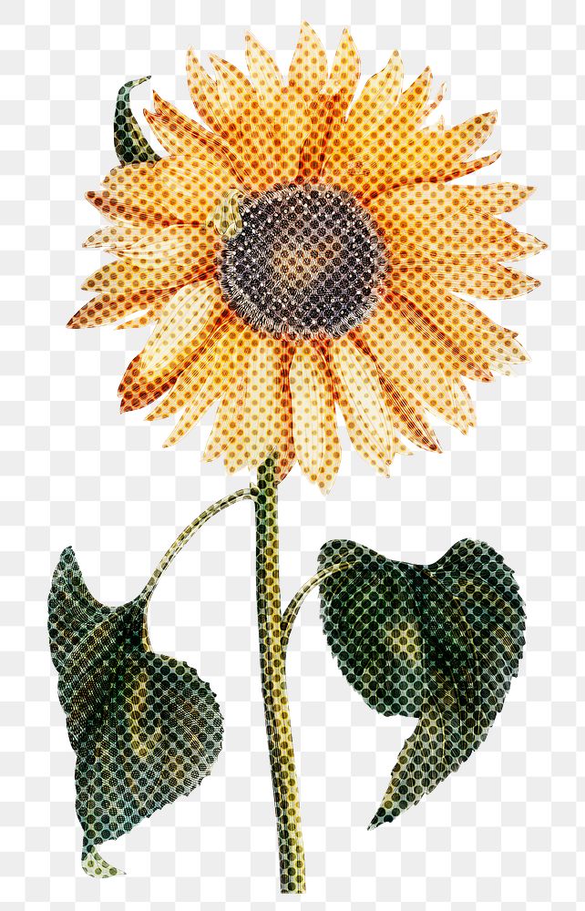 Halftone yellow sunflower sticker overlay