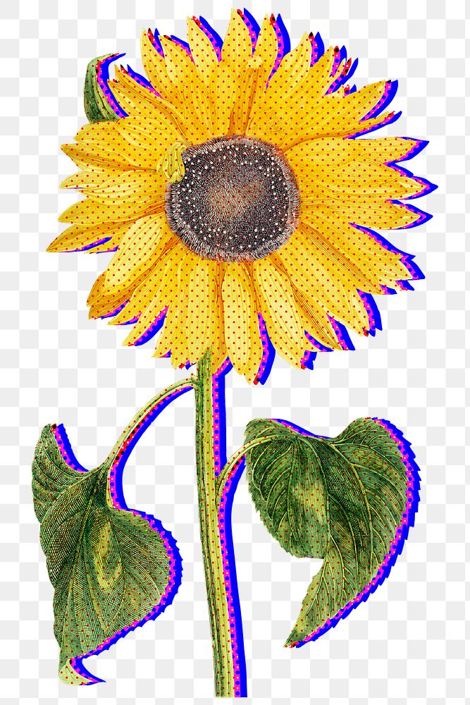 Halftone yellow sunflower with neon outline sticker overlay