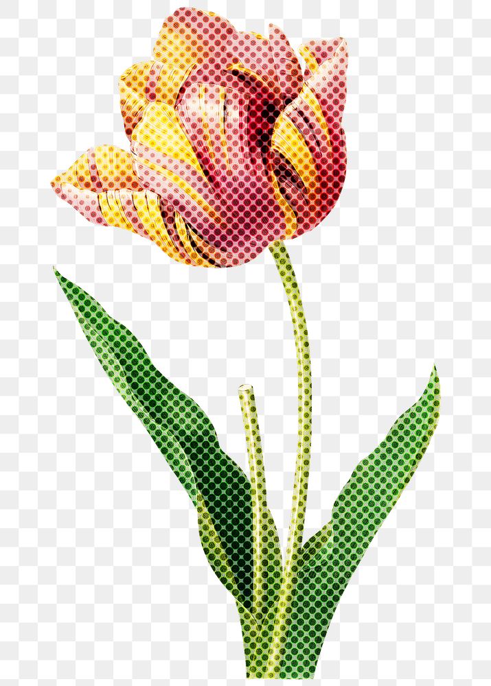 Hand drawn tulip flower halftone style sticker overlay