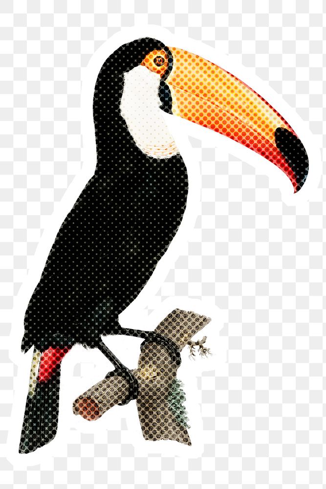Hand drawn toucan bird halftone style sticker overlay with a white border