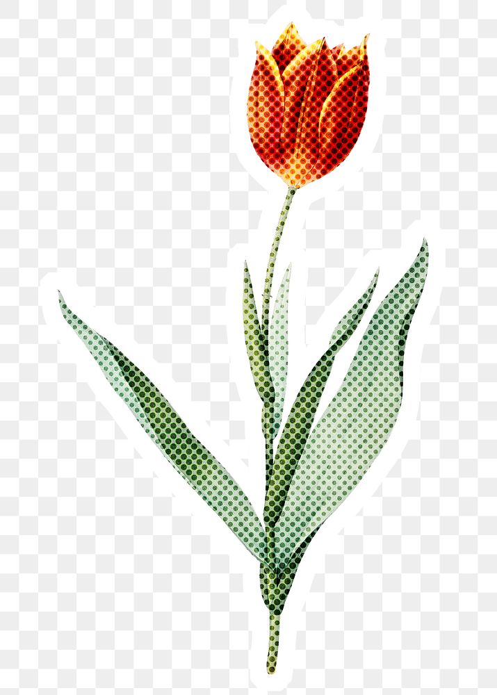 Hand drawn tulip flower halftone style sticker overlay with a white border