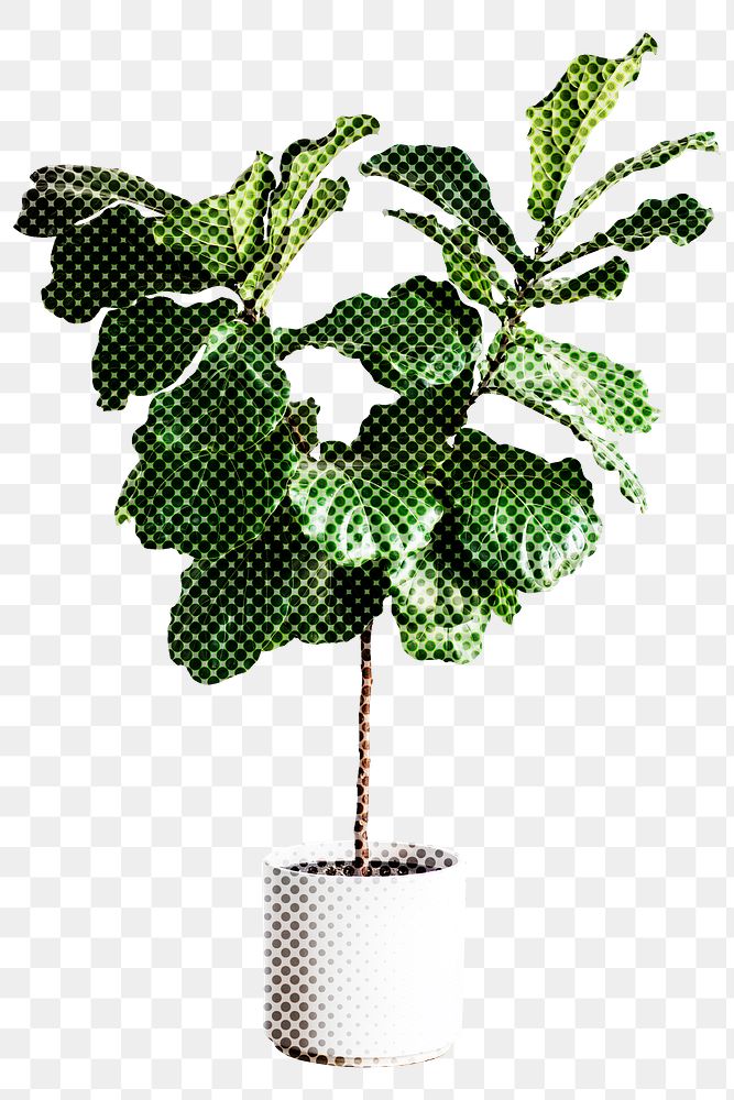 Hand drawn philodendron halftone style sticker overlay
