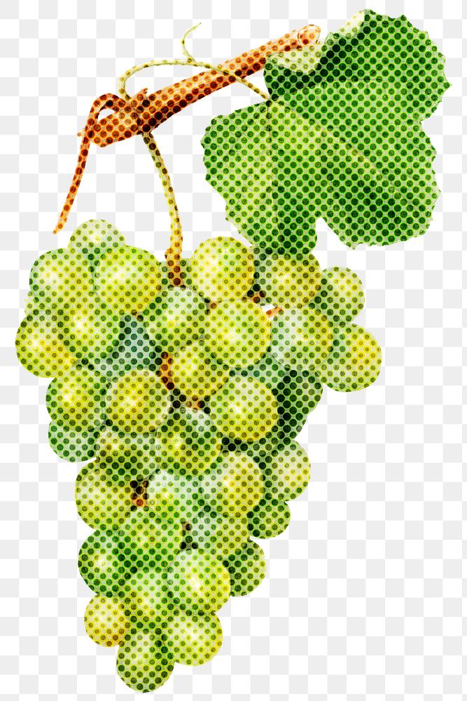 Halftone green grapes sticker design element