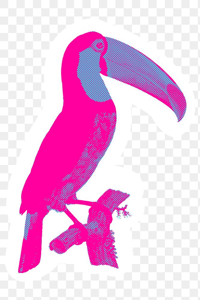 Hand drawn funky toucan bird halftone style sticker overlay with a white border