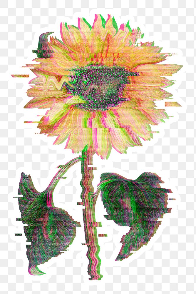 Sunflower with glitch effect sticker with white border overlay
