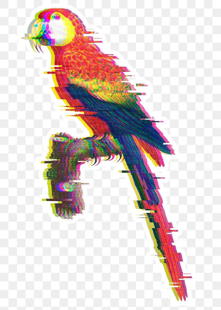 Macaw with glitch effect sticker with white border overlay