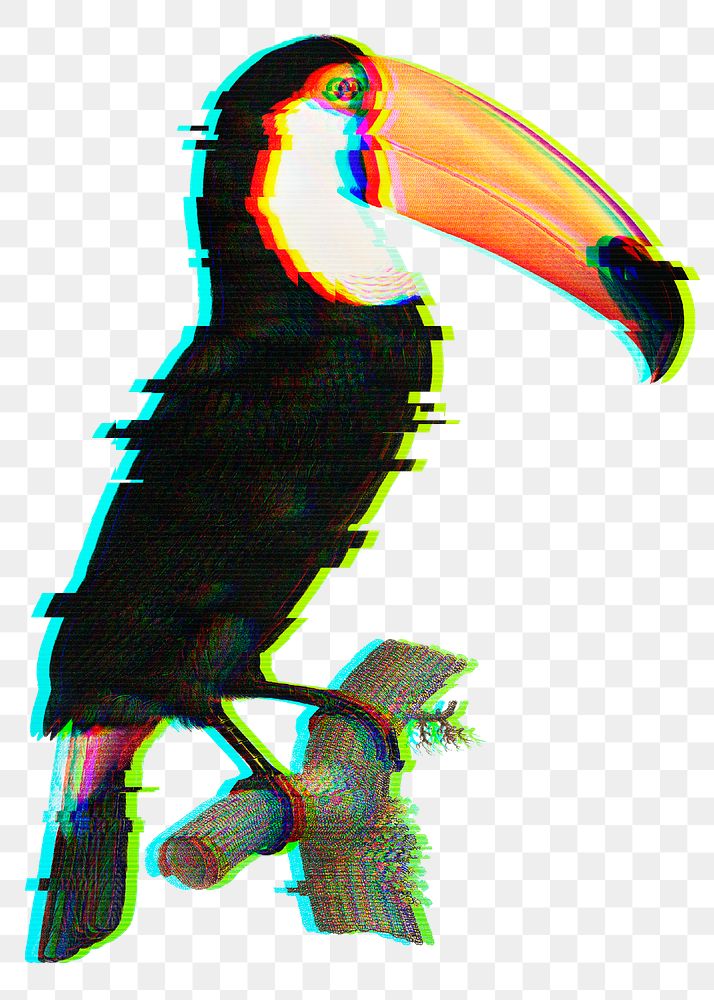 Toucan bird with glitch effect design element 