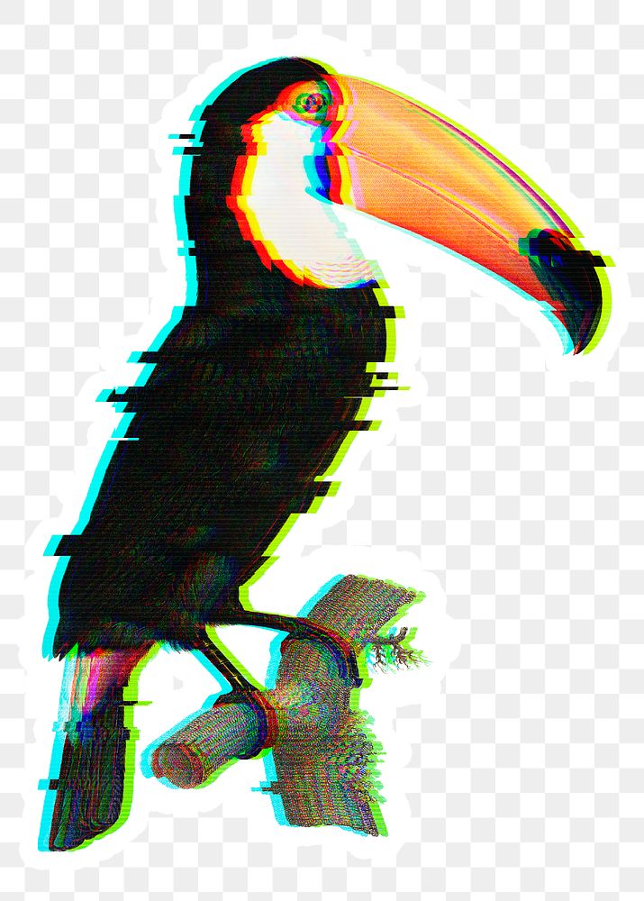 Toucan bird with glitch effect sticker overlay
